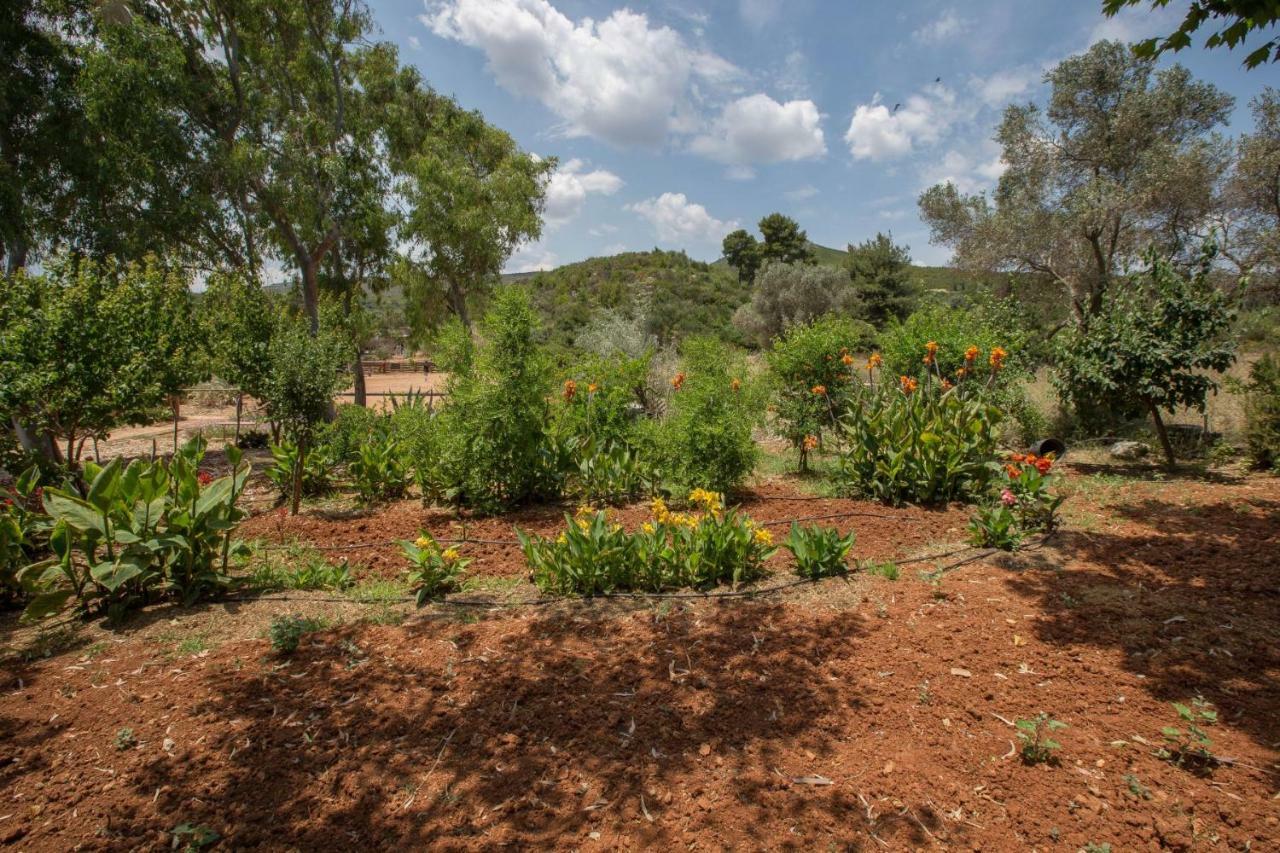 Holiday home Family Getaway In By Ghh Marathon (Attica)